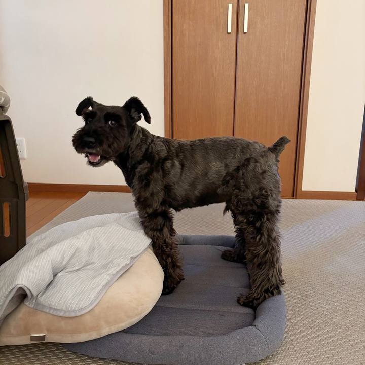 C0568070 4433 47e7 a0f5 2d2441d47ce8 1755668748383