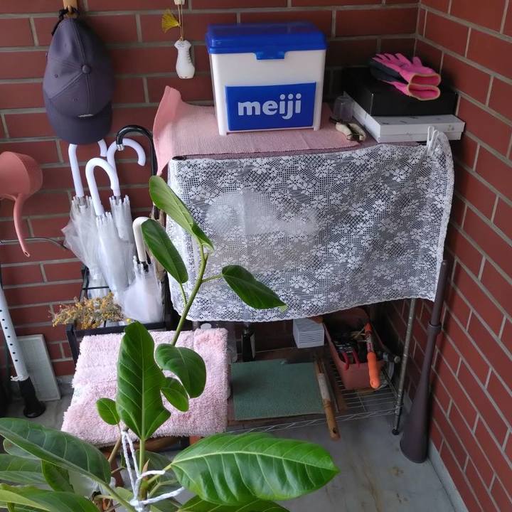 C0568461 c86c 476e 865d 9a6d6b2ffd9a 1748504838779