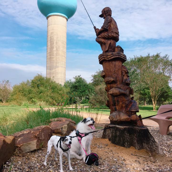 C056940f db30 49d5 ab9f bbb503c080ec 1571004002304