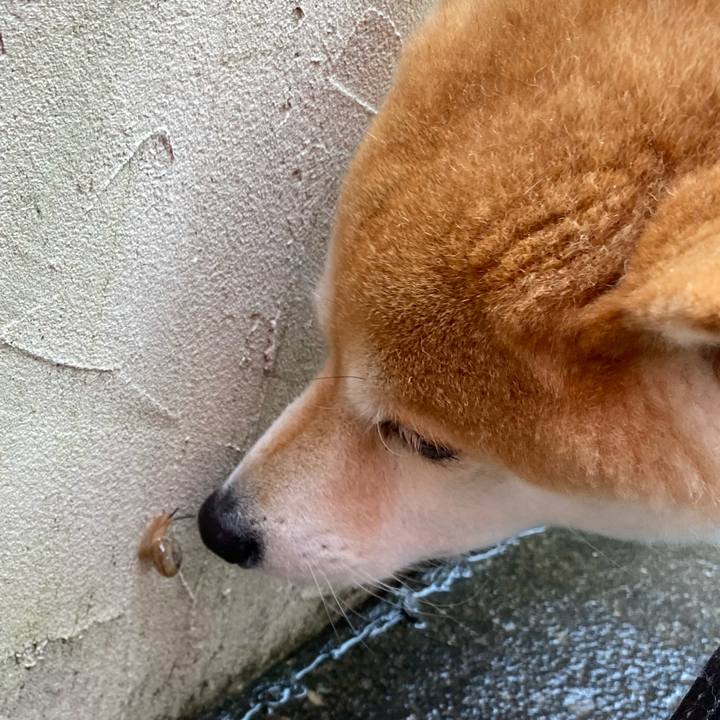 C056b869 b804 4b4e a694 f6b8a7dc4a71 1589980333647