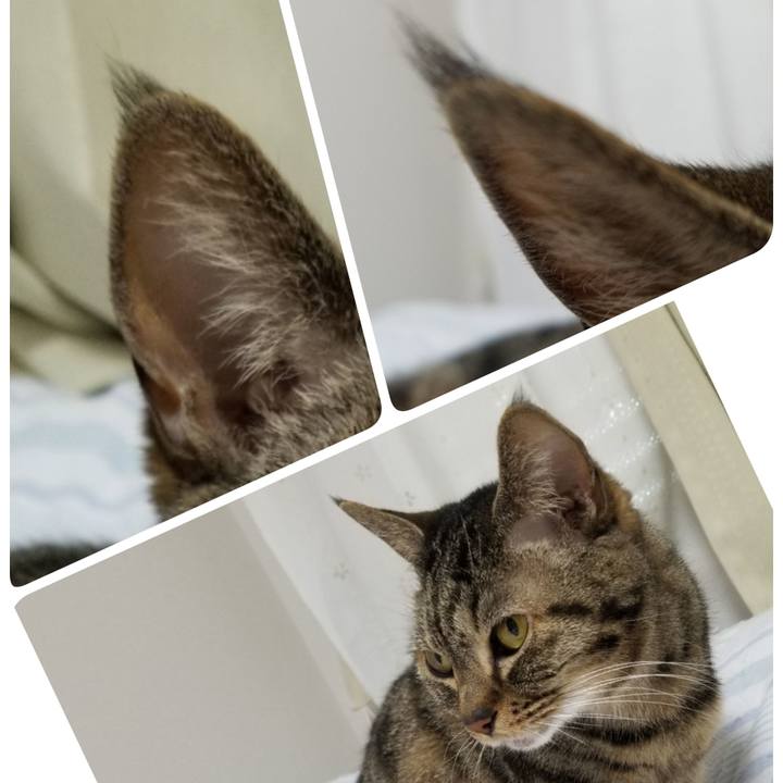 C056e946 959f 4868 84a9 5d50ff21fc67 1622151857172