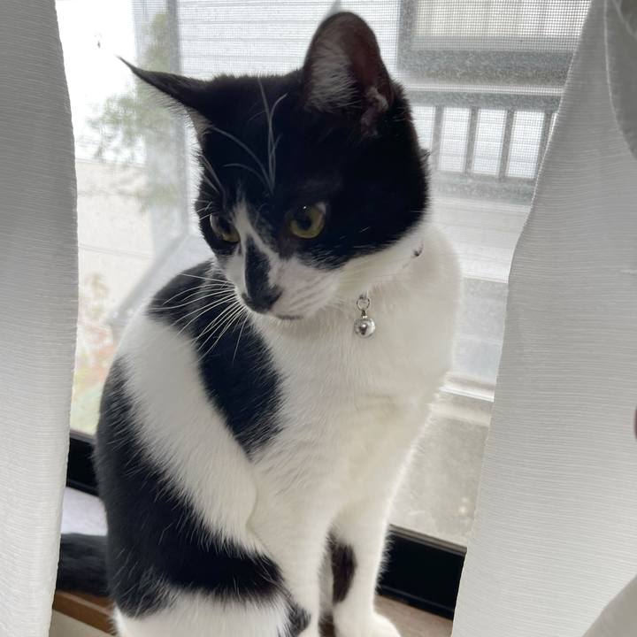 C056ec17 5d84 406b 9ccf 0ee1e40255f4 1761864973328