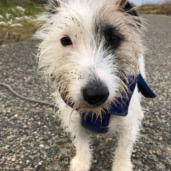 C056ff79 389f 4c00 b5f4 b1f1907b7b7c 1550191234499