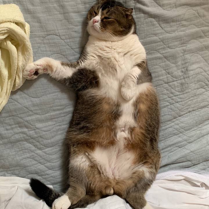 C0575585 58d4 458f b5eb 77f987f7ee45 1560341804489