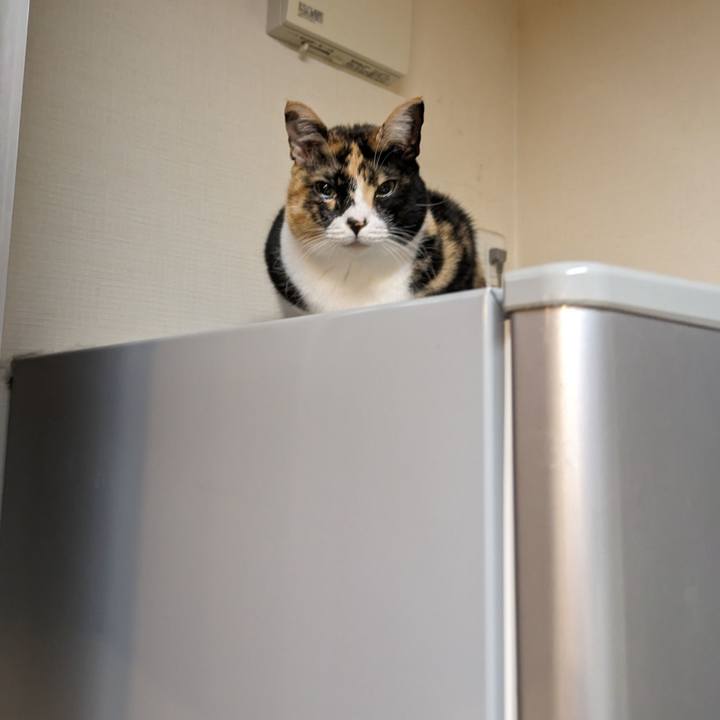 C0578730 cc47 4cbd a8e6 8562b6a29db8 1706500267116