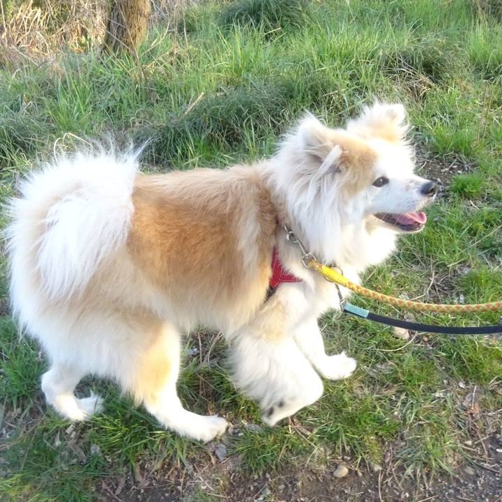 C057b002 6b7a 467d 9352 41b3d7a96584 1616587886777