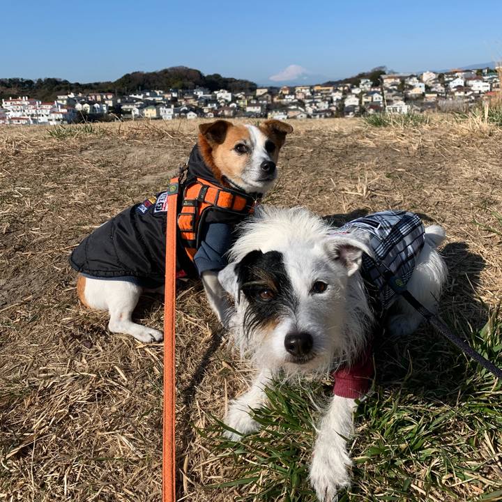 C057b7bf d4d2 4271 816a ad7f90c6553a 1643765273840