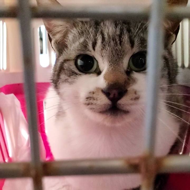 C0588afa fd5b 492c 8c55 c95cab0d608c 1744272824780