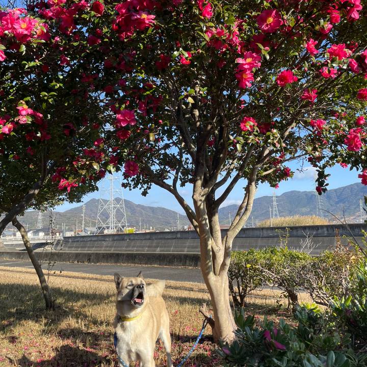 C0588e84 632d 4e18 aa97 cdc398322202 1640860445983