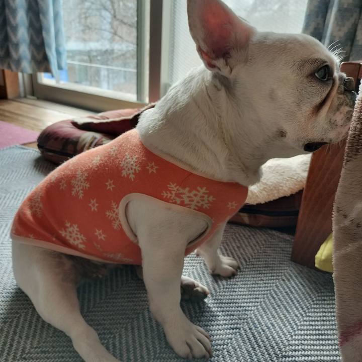 C058a640 905f 40c0 9171 bef330b94242 1676160632117