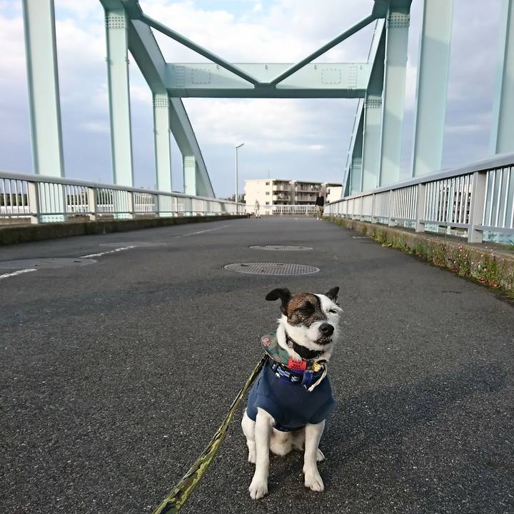 C058badf 49f7 4c07 8131 c7603569d2b5 1525425440293