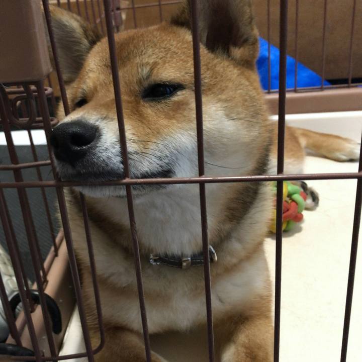 C059118c 4094 4986 8a44 c339a73acc4a 1526269548096