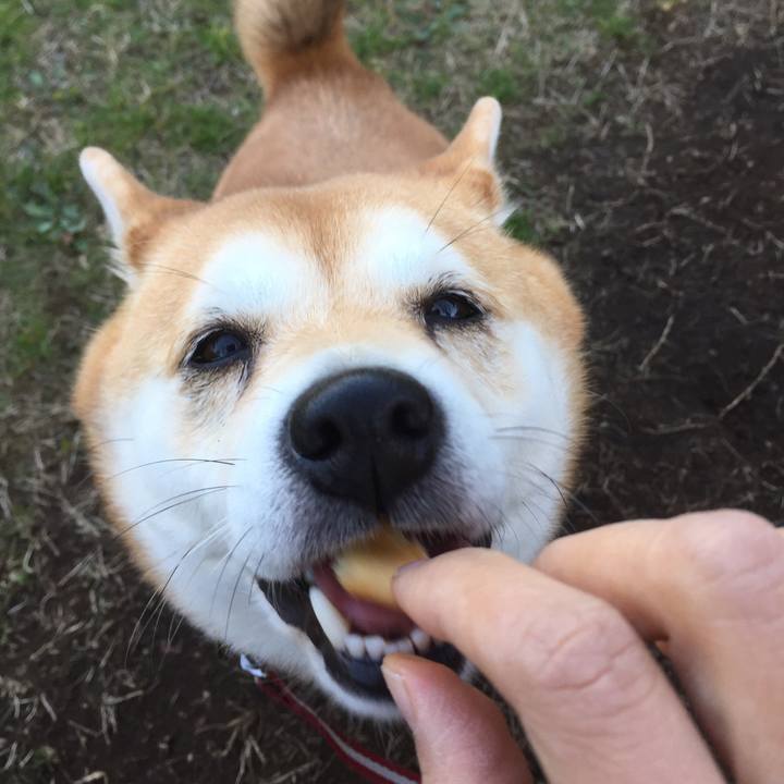 C05913b9 3007 4a64 bedb 6efe029ad881 1540940631684