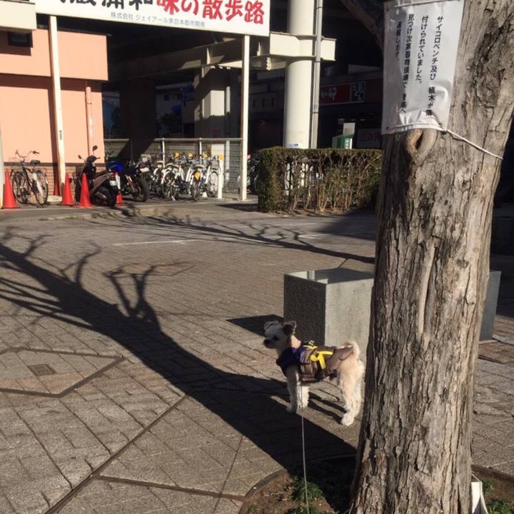 C0593234 6f70 4ee9 ad43 4f78f3769a02 1546597737970