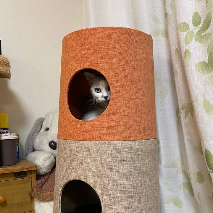 C059388d ffa4 4184 a0db d41034e64c57 1635504076614