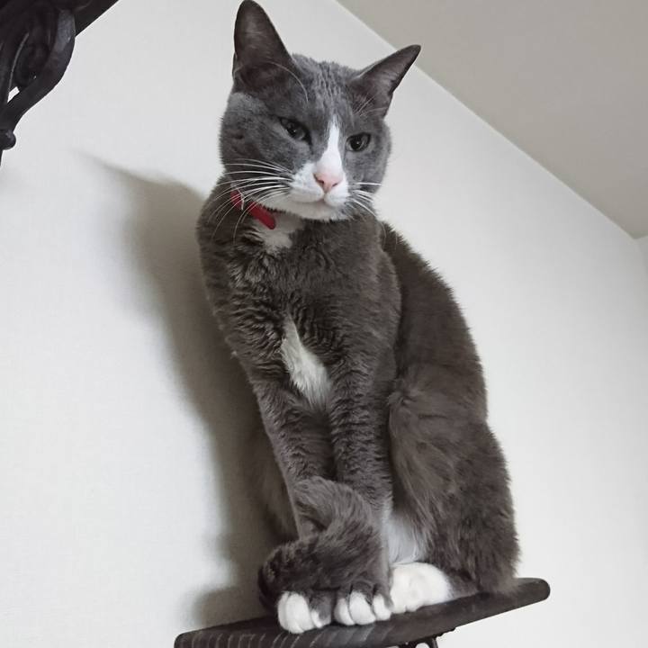 C0594572 56f2 4b9f a447 2a2437e9dc46 1515384962345