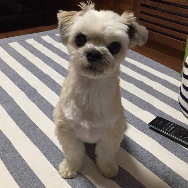 C0598620 6399 4d1e 87e0 ee8b38a0f9f9 1560947024817