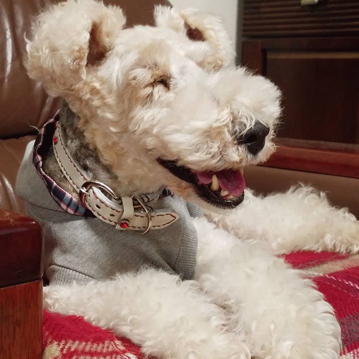 C05988dc b85b 4ac9 b492 36e44a50626e 1554508417884