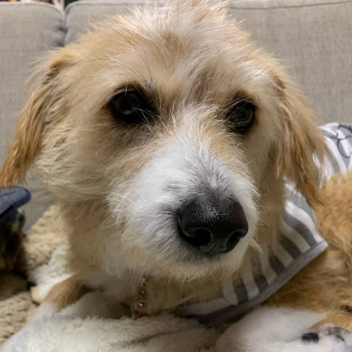 C059c6a2 39ac 4fd3 9fc2 31892a6d658e 1577794889620