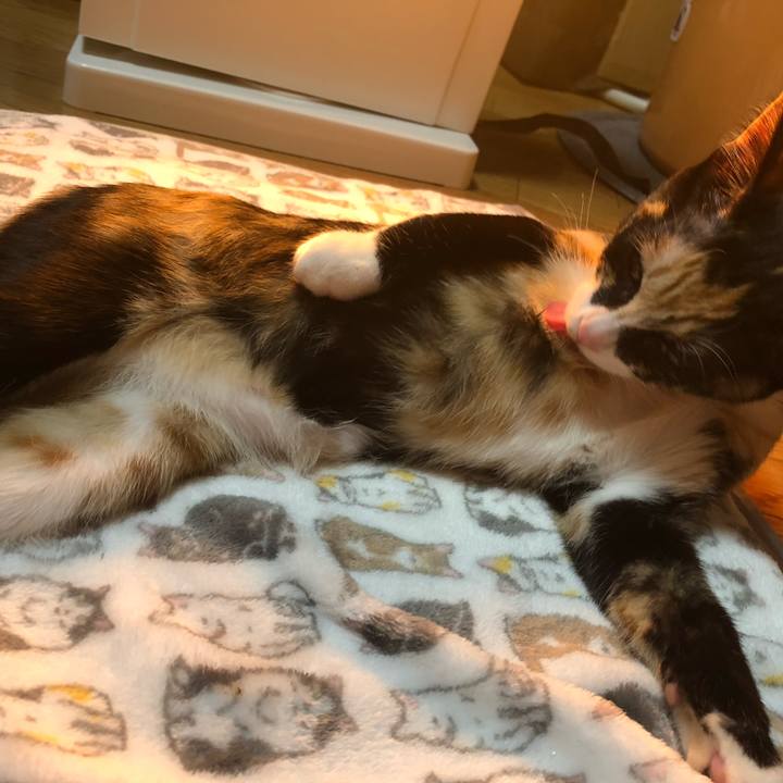 C059cc2b bc7b 4994 b47b e4185ec6b91e 1548237683134