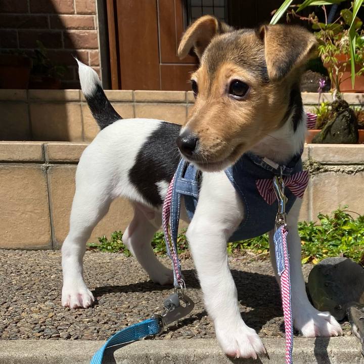 C059f2e4 43fc 4d59 9d82 d713678ae970 1743928233104