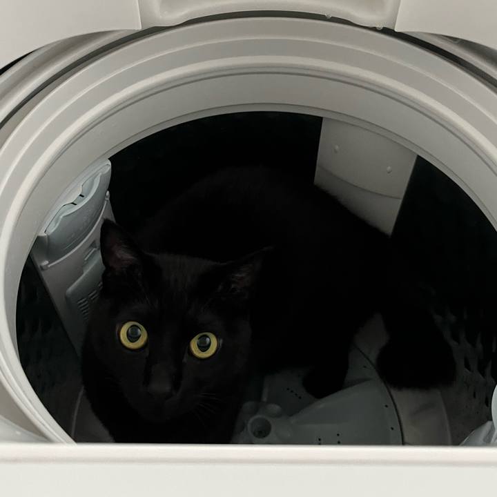 C059f348 226b 4f2d a3f8 825b2475c6d6 1680740792348