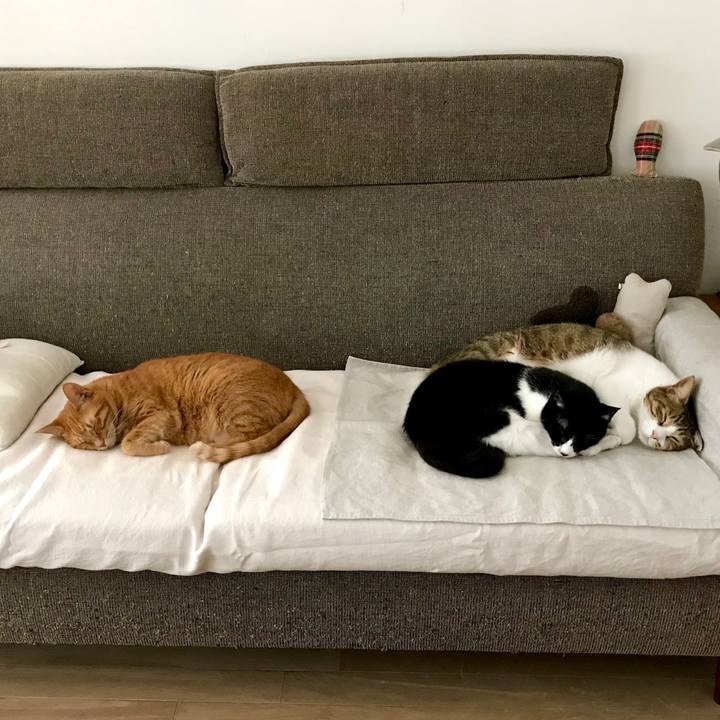 C059fd4b d85c 454d a69d 4d2206496cab 1528955142255