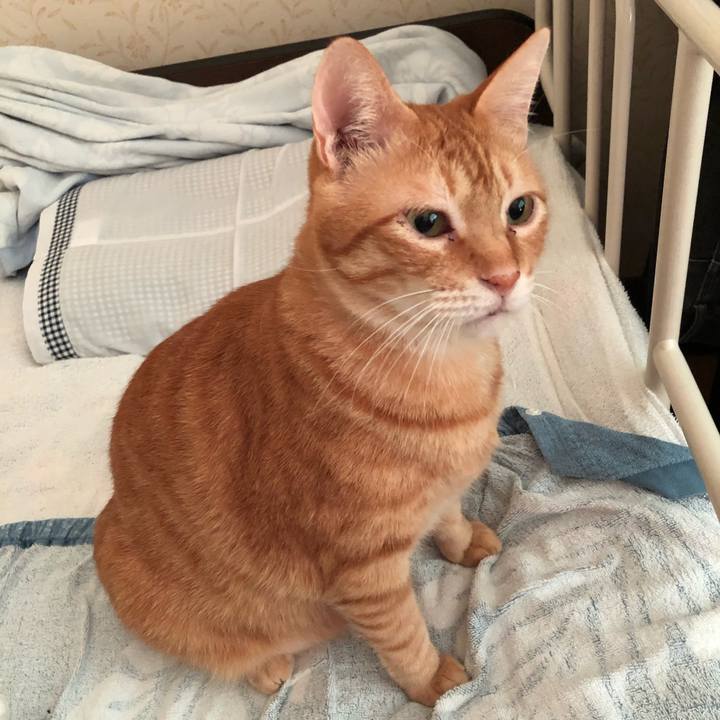 C05a2503 7d3e 448c b4b8 b613e38f030f 1567545450549