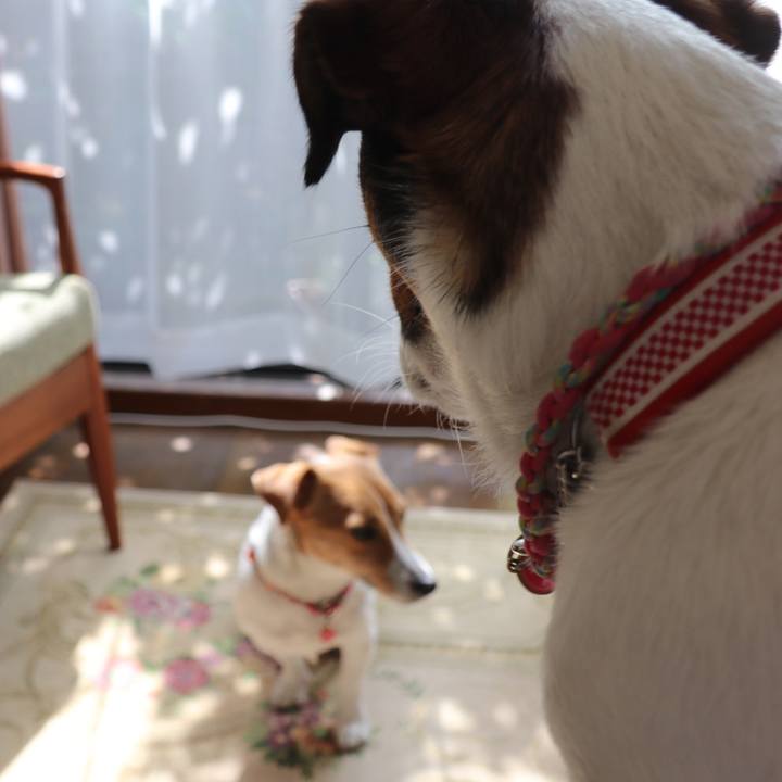 C05a34d3 5882 4373 aeab 2a612c9f1cd1 1522812984669