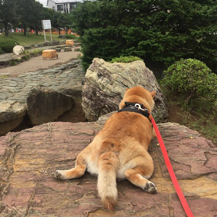 C05ad589 874c 4a34 873e 9c4cfc2ce2ed 1602470319037