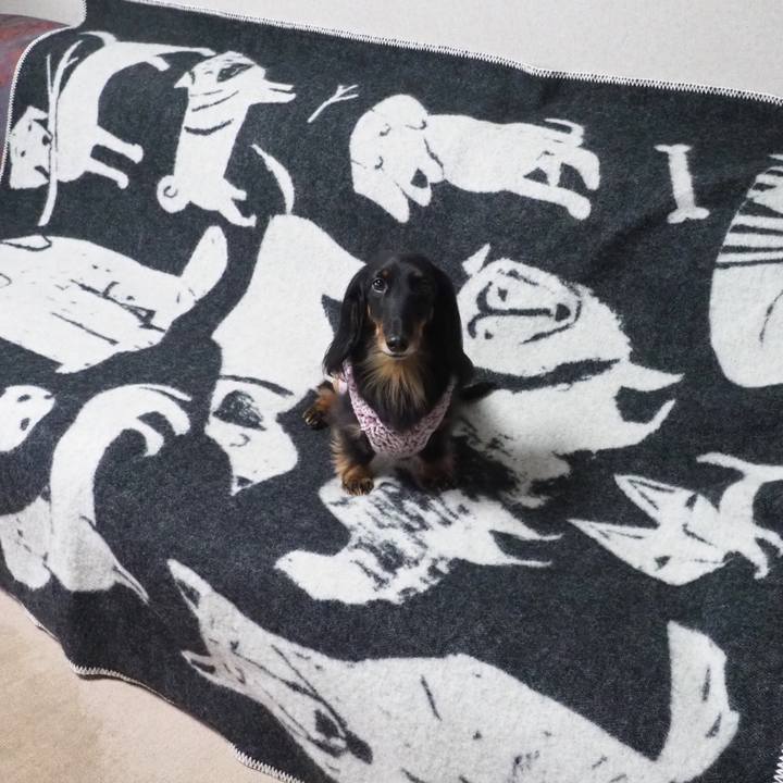 C05b1186 f824 4906 af95 c0d93c44e0db 1645418842909