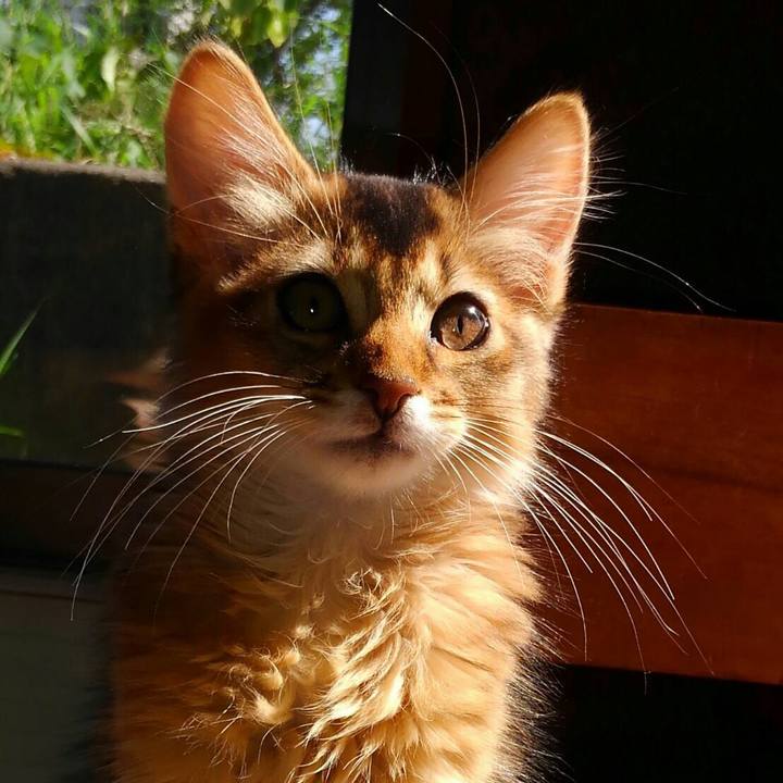 C05b44ec 4cd2 4af3 af93 44870705bc96 1574511549749