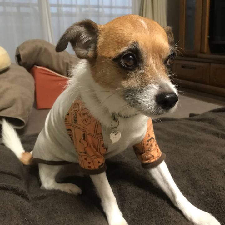 C05b8516 12fa 4bdb a783 53fefedab167 1510519790416