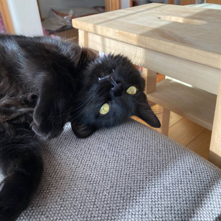 C05b950f 2c7d 4738 b7fa 5fd62e1af14c 1733818310090