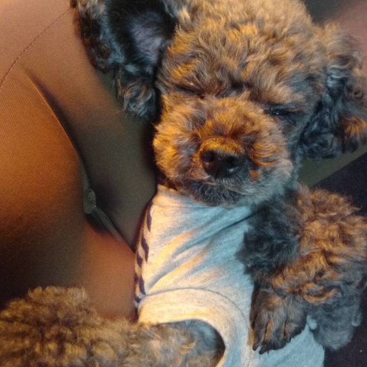 C05b9936 ac1e 4c2b 984e 1c4c1d90c059 1558316532025