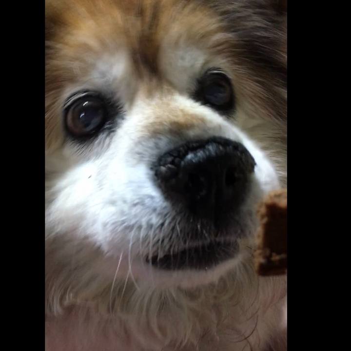 C05ba7a8 268c 4db7 bda3 2750c730497f 1634686973977