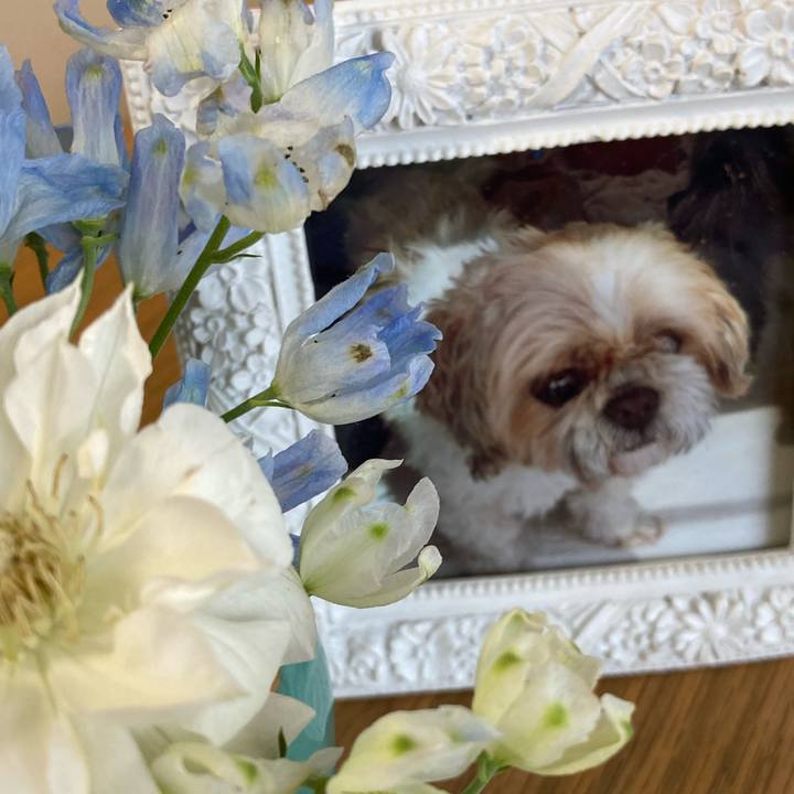 C05bae13 733e 4a09 b310 bbed4bf01fef 1626066720736