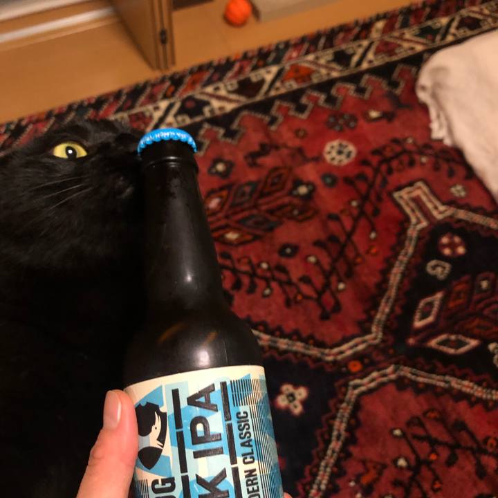 C05bb027 cf22 45c4 aabc cd2fba282e10 1563449994172