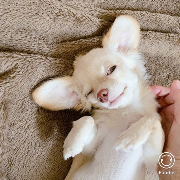 C05bb71b 0fdd 4070 9c88 a7d0d85222a6 1597871238589