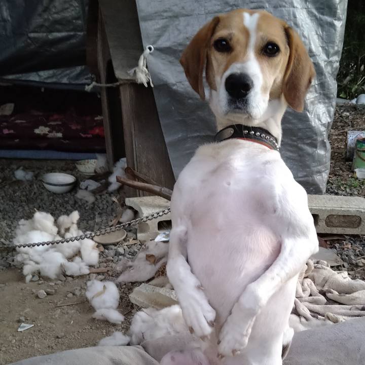 C05be75a 5737 47a0 829b c5c861e1170f 1638276895315