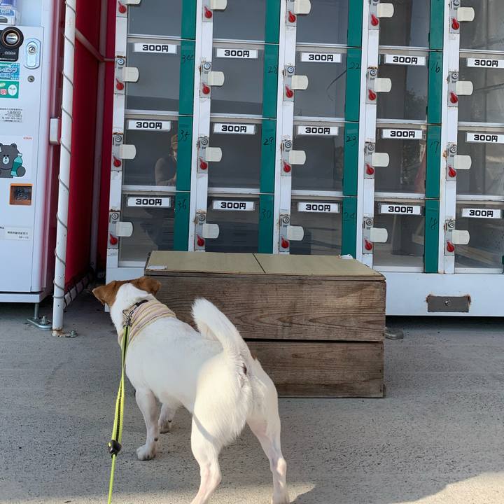 C05bf3f5 d48e 4a04 992e c513133e1242 1612678572269