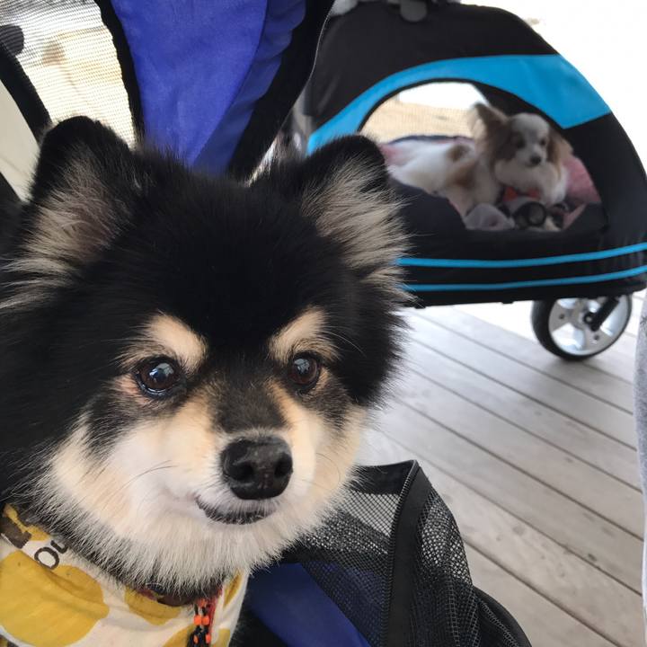 C05c2e5e b76c 498a b812 3cdc464b431c 1548245635965