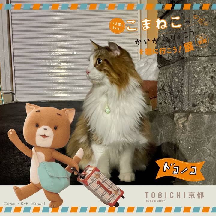 C05c3bed 125c 4b99 b00b 460294d0a0a6 1740124642231