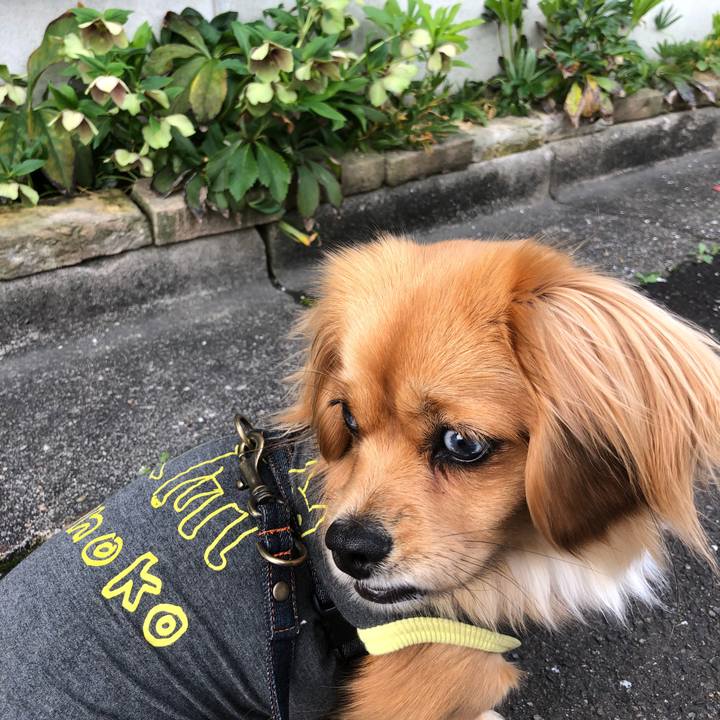 C05c443d 18eb 4f84 aa4c 1f49c987addd 1523926496052