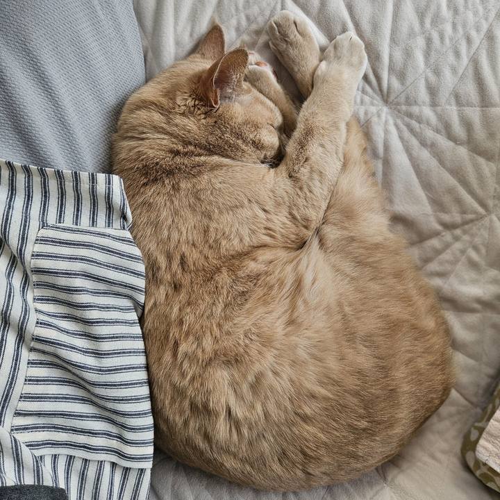 C05c9463 c6dd 4f19 85d4 4eda14a0e646 1770440531928