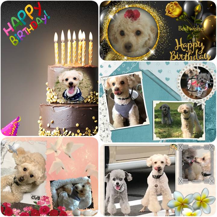 C05caeff 9202 4af1 bf32 669a8dee560f 1625609681035