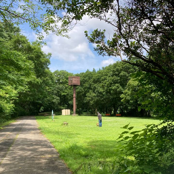 C05cc6d8 a081 482e 8519 ce260cc0f16d 1655003098646