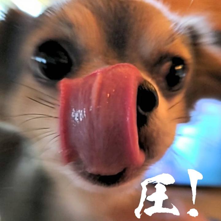 C05cec59 698f 4d1d 86ff 37b4374ccf25 1663291797853