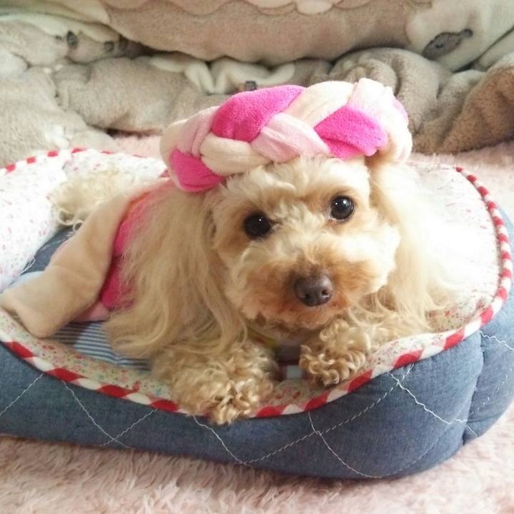 C05cef66 5cc8 434d b1d3 bf8df0567163 1521115570934