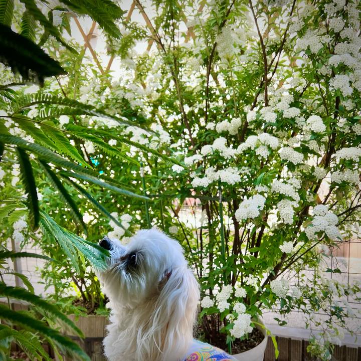 C05d59e3 c8f3 4f6b 851b bcb647406c48 1650605888138